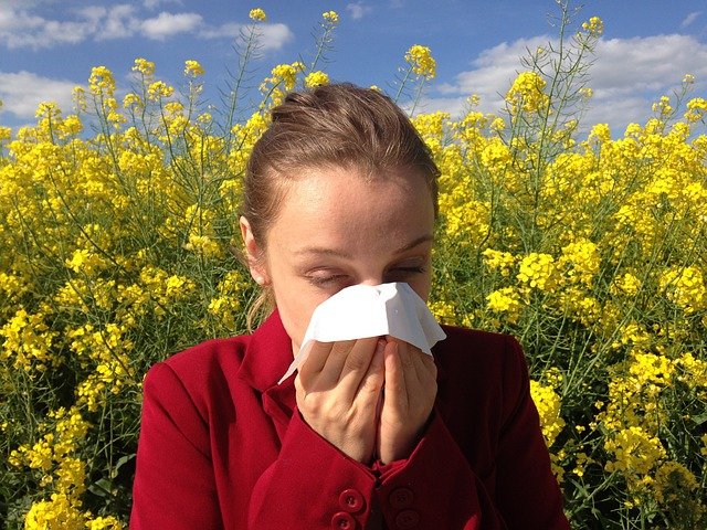 Bless You! Sinus Congestion, nasal congestion, sinusitis, stuffy nose, home remedies for sinus congestion