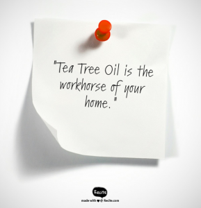 Tea Tree, tea tree uses, tea tree oil acne, tea tree oil dandruff, melaleuca oil, yeast infection home remedy