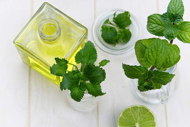 Cool Off With Peppermint, Peppermint, Benefits of Peppermint Oil, Peppermint Oil Uses, Peppermint Oil For Hot Flashes, Peppermint Essential Oil