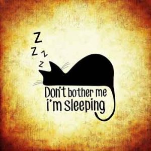 Adrenal Fatigue, burnout, getting enough sleep