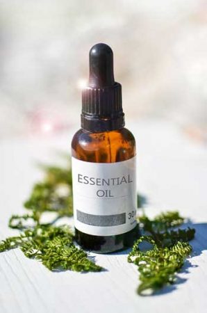 Essential Oils and Emotions, anxiety and panic attacks, balance your emotions, limbic system, 