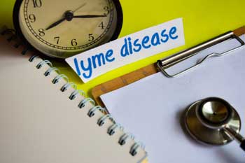 Lyme Disease, How Aromatherapy Can Make A Difference