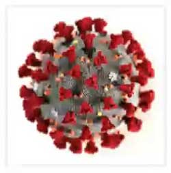 Coronavirus