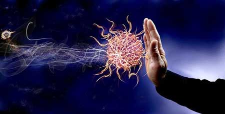 Immune System, Why Aren't We Talking About Your Immune System, Thievery Synergy Blend, White Blood Cells, Immunity, Wash Your Hands, Essential Oils For Immunity