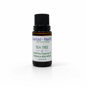 Tea Tree Essential Oil