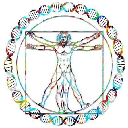 PEMF Magnawave, Scented Balance, Bio wrx, holistic chronic pain relief