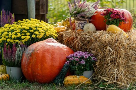 colorful fall harvest display with pumpkins flowers
