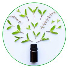 Essential Oils