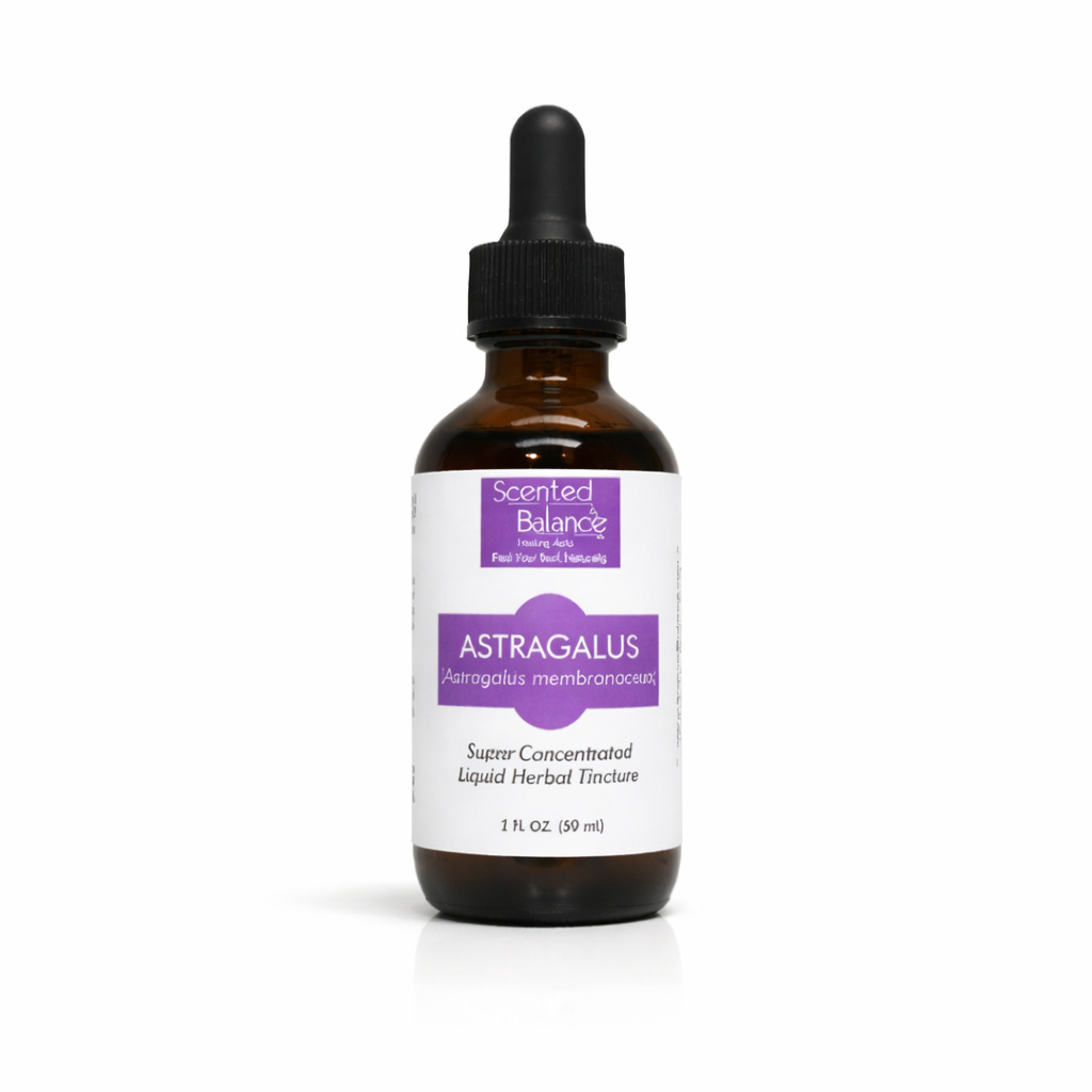Astragalus Tincture