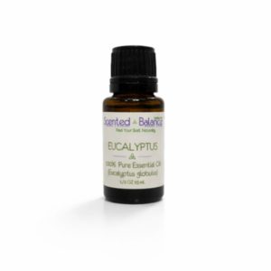 Pure Eucalyptus Essential Oil