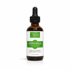 Gotu Kola Tincture